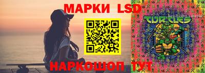 тгк Новокубанск