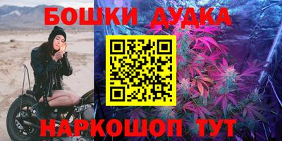 spice Новозыбков