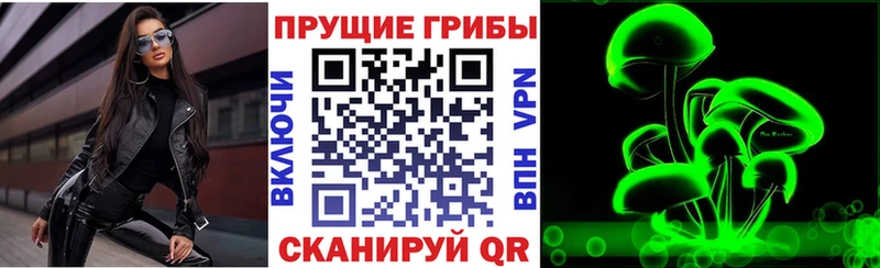 продажа наркотиков  Советский  мориарти телеграм  Псилоцибиновые грибы MAGIC MUSHROOMS  кракен как зайти 