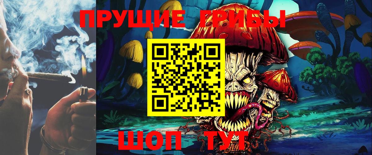 Псилоцибиновые грибы GOLDEN TEACHER  где купить наркотик  Советский  Вход с VPN  Галлюциногенные грибы MAGIC MUSHROOMS 